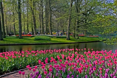 Keukenhof Garden HD Wallpapers   Travel HD Wallpapers