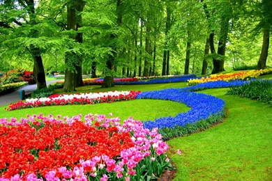 Keukenhof Gardens HD Desktop Wallpapers : Widescreen : High ...
