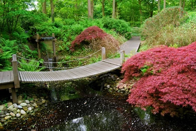 Wallpapers Gardens Pond Japanese Keukenhof Netherlands Nature ...