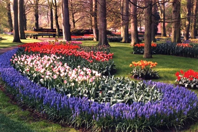Keukenhof Gardens 1920x1200 Wallpapers,Keukenhof 1920x1200 ...