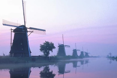 Keukenhof The Netherlands Wallpapers