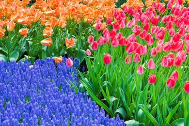 Wallpapers Of Tourist Destinations In Europe   Travel HD Wallpapers