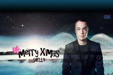 Happy Holiday Sheldon Cooper Wallpapers (9552739) Fanpop