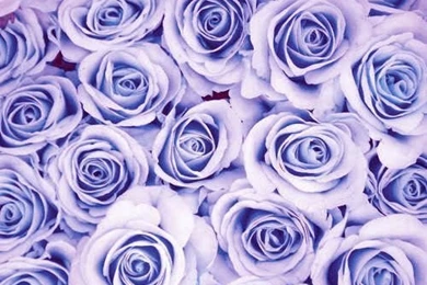 You Could Use These Sweet Backgrounds (24 Photos)