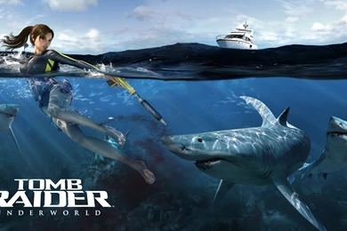 Beautiful Lara Croft In Tomb Raider Underworld Wallpapers