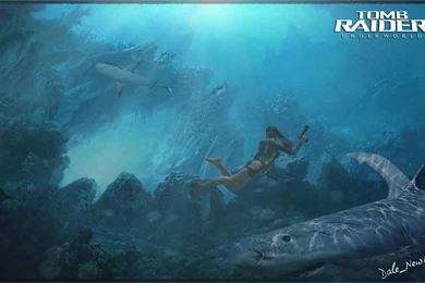 Tomb Raider Wallpapers — Free Full HD Wallpaper. Widescreen HQ ...