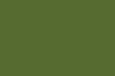 2880x1800 Dark Olive Green Solid Color Backgrounds
