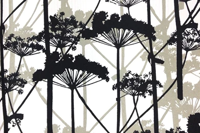 Marimekko Putkinotko Wallpapers