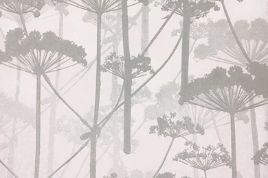 Marimekko Putkinotko Wallpapers