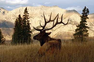 The Ghost Of Turpin Meadow – Edward Gramza