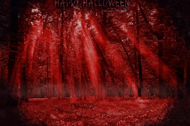 Halloween Wallpapers By Email Junk (8 Wallpapers)
