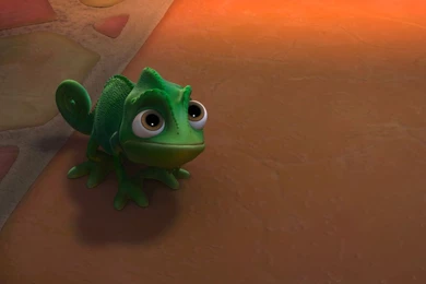 Top Tangled Pascal Wallpapers Wallpapers