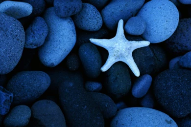 River Rock Wallpapers 11206   Pacify Mind