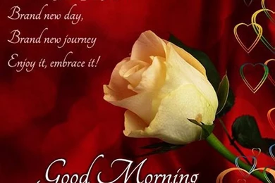 Send Good Morning Photo Download   Wallpapers For PC Free ...