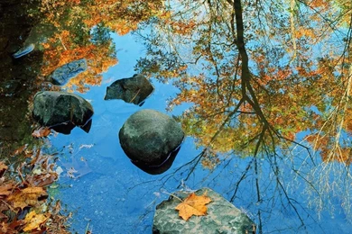 Rock River Wallpapers   Christian Wallpapers And Backgrounds