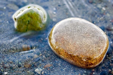 River Rock In Calm Waters   Wallpapers