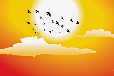 HD Wallpapers Free Download