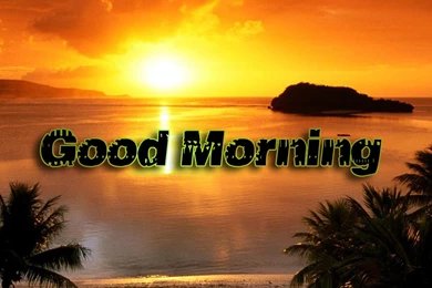 Good Morning Photo Download Free Download Good Morning Hd ...