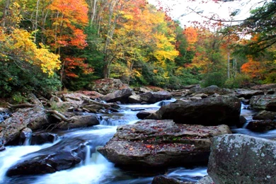 Natural Autumn Mountain River Rock Noise Yellow And Red Leaves ...