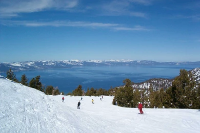 Lake Tahoe Skiing Wallpaper.