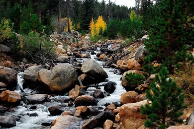 Rocky Mountain River Nature Picture
