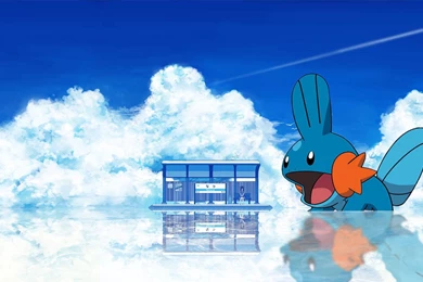 Mudkip Pokemon Wallpapers   (