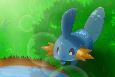 Mudkip By Yassui On DeviantArt