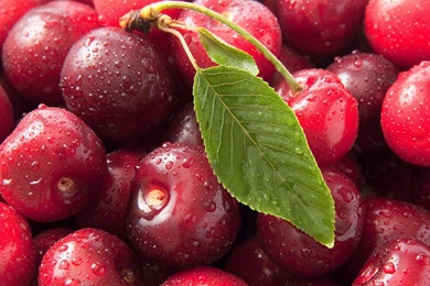 The Agate Like A Red Cherry Wallpapers 11 - Cate Wallpapers Free ...