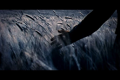 30 Glory Of Rome: Gladiator 147 :: Gladiator Movie Wallpapers