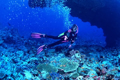 Ocean Scene Wallpapers Beautiful Scene Photos Of Bring The Beauty ...