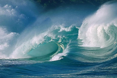 Underwater Wallpapers