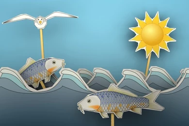 Kopyor: Scene Wallpapers