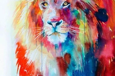 Best Wallpapers Hub: Water Color Lion