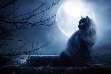 30 Landscape Desktop Wallpapers ⇒ 733326 Amazing Night Wallpapers