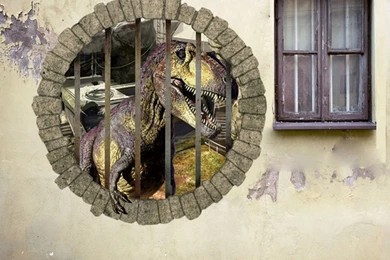 Online Get Cheap Hot Cartoon Wallpapers  Aliexpress.com