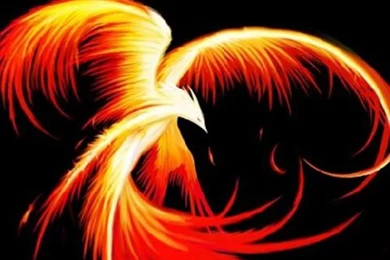 Bird Wallpapers Free: Phoenix Bird Wallpapers