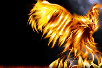 Pheonix Bird Digital Phoenix Picture Rising Wallpapers With ...