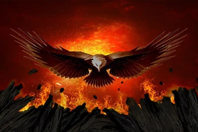 Phoenix HD Live Wallpapers   Android Apps On Google Play