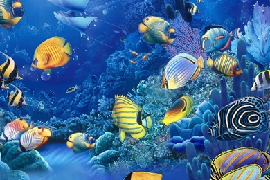 Fish Wallpapers Free 9667 Desktop Wallpapers