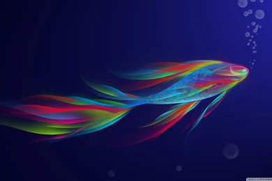 Fish Wallpapers – AB Wallpapers