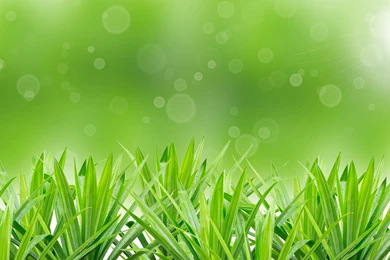 Free Spring Desktop Backgrounds cEeU 46501 Hd Pictures