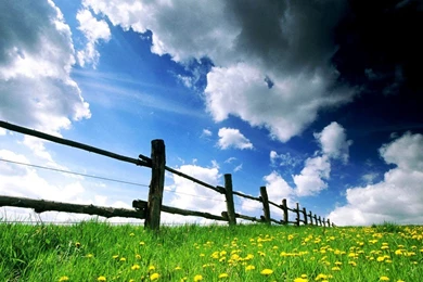 Free Desktop Backgrounds for Spring in Garden 1024x768   A House ...