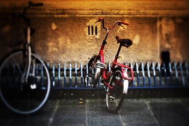 August Holidays Wallpapers