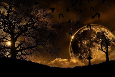 Beautiful Wallpapers: Bats Wallpapers