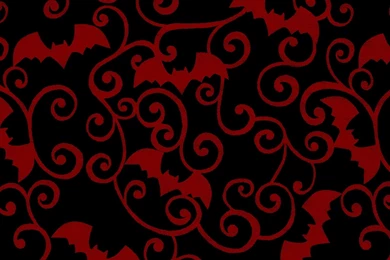 Bat Wallpapers   Animal Wallpapers