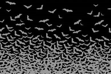 Abstract Bats Hd Wallpapers