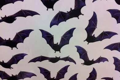 Wallpapers On Pinterest