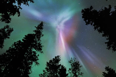 Download Aurora Borealis Wallpapers 1920x1080