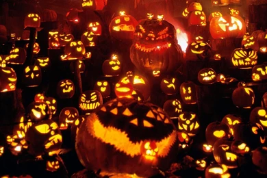 Halloween Pumpkins Festival HD Wallpapers