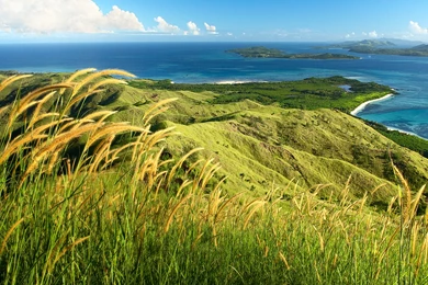 Windows 8 Wallpapers